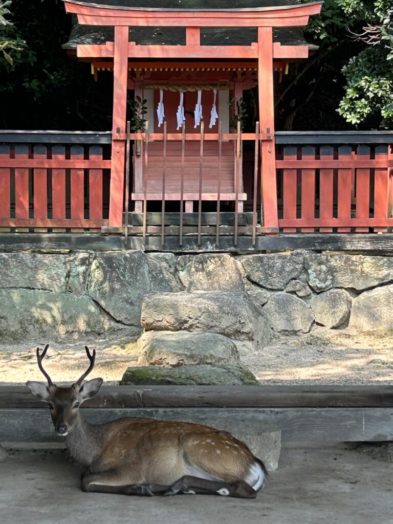 広島観光|広島 宮島七浦巡り