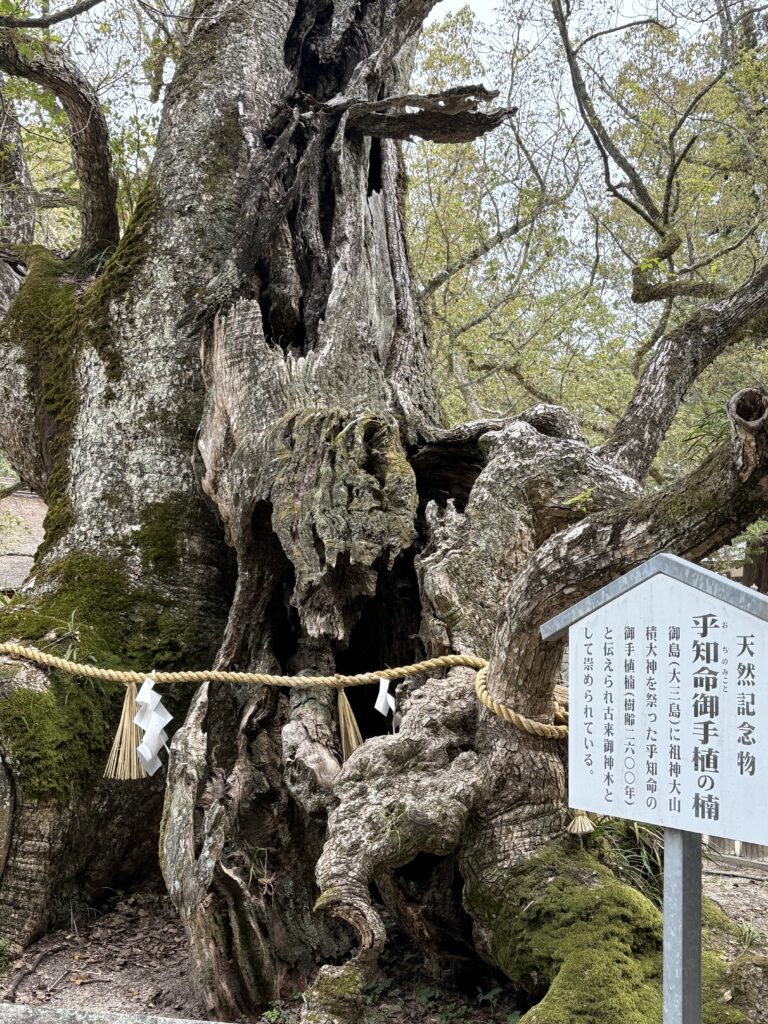 愛媛観光｜愛媛 大山祇神社