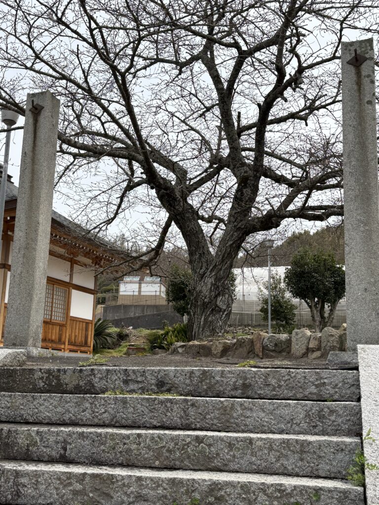 愛媛観光｜愛媛 東円坊