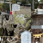 愛媛観光｜愛媛 大山祇神社