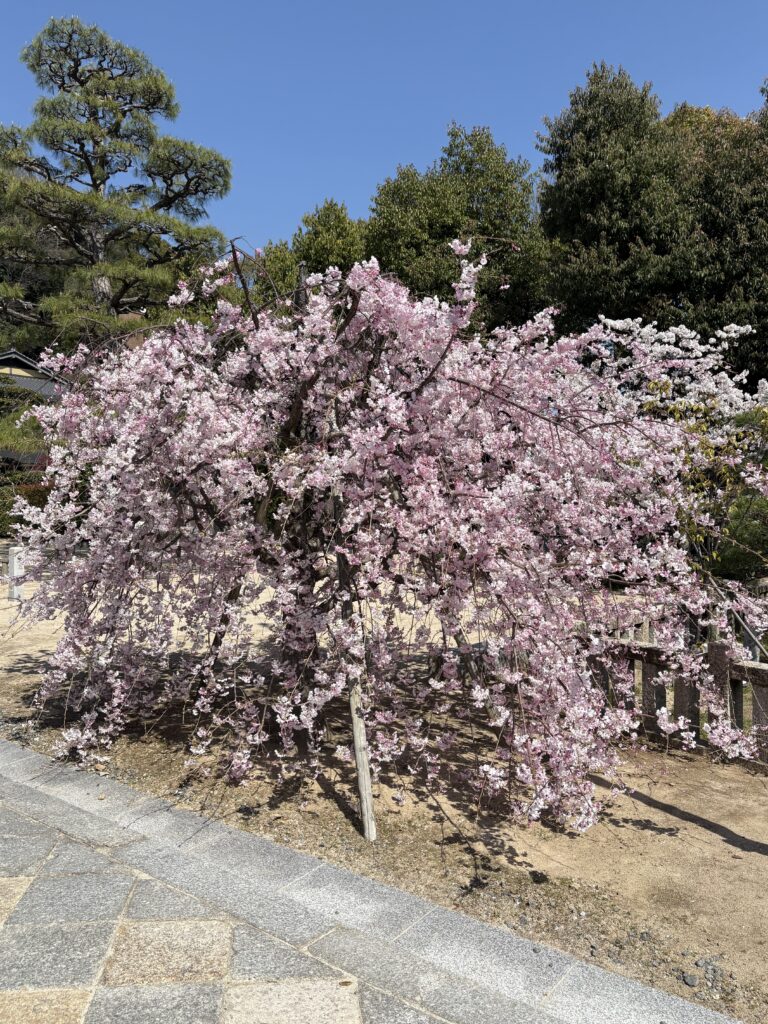 広島観光｜広島 鶴羽根神社