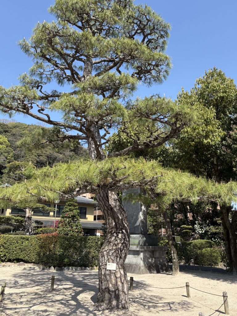 広島観光｜広島 鶴羽根神社