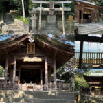 福岡観光|福岡 志賀海神社