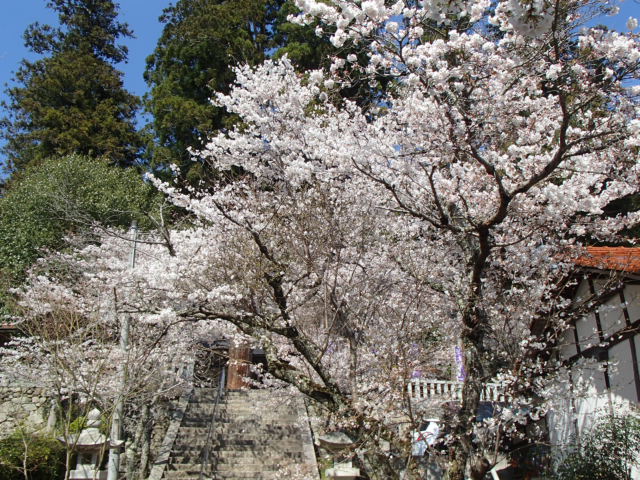 広島観光｜広島 郡山城
