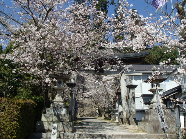 広島観光｜広島 郡山城跡
