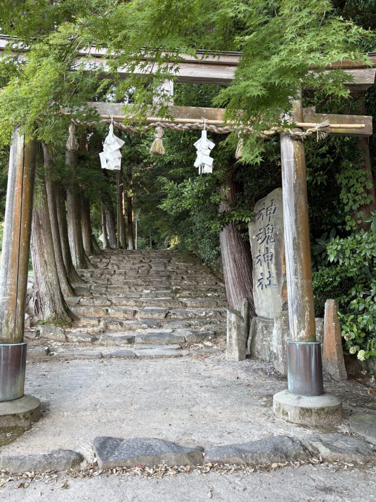 島根観光｜島根 神魂神社